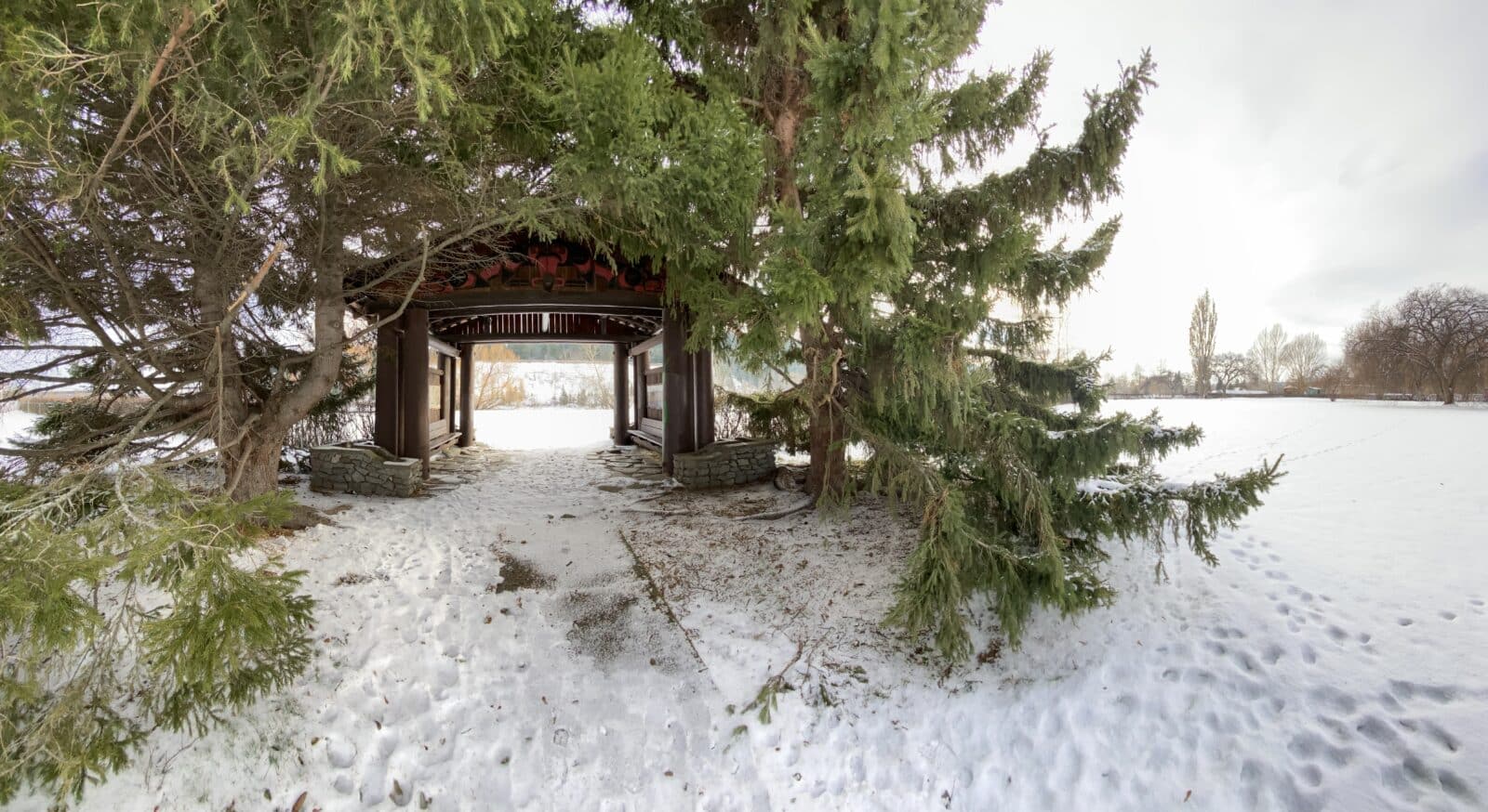 indigenous structure surrounded by trees and snow