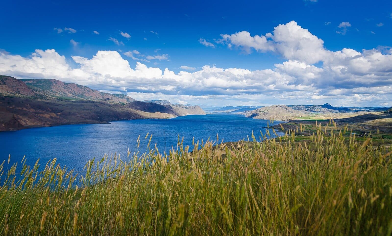 landscape shot of grass, lake and mountains