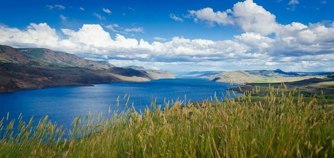 landscape shot of grass, lake and mountains